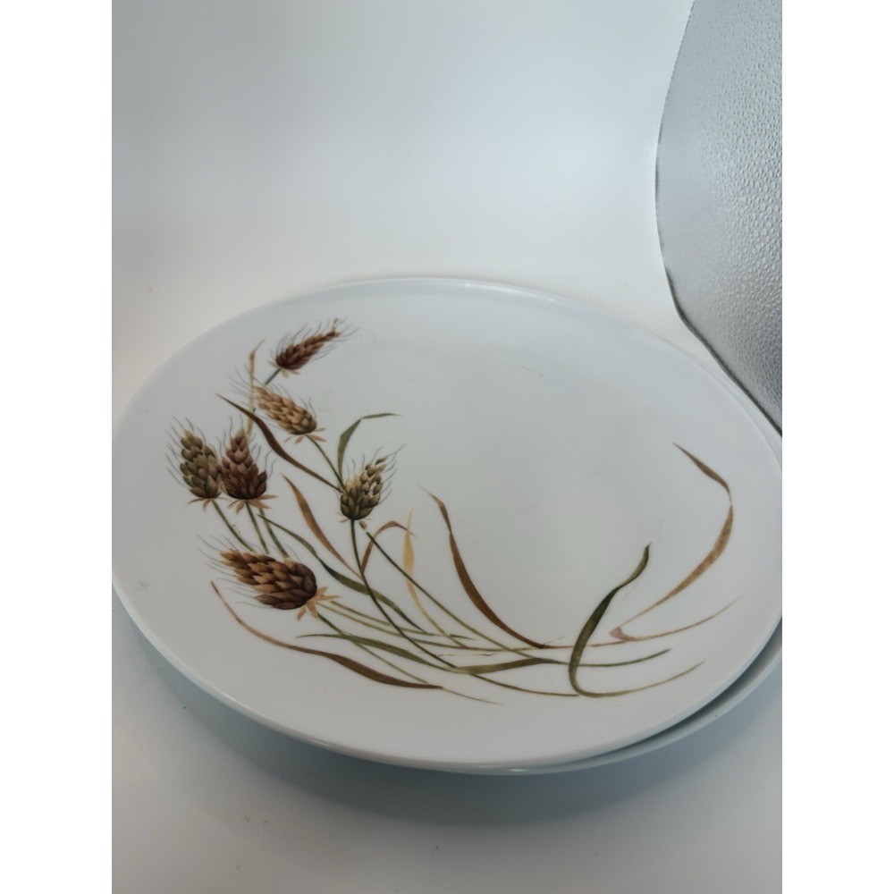 2 Vintage Texas Ware Wheat Melamine Plates MCM Brown Green USA